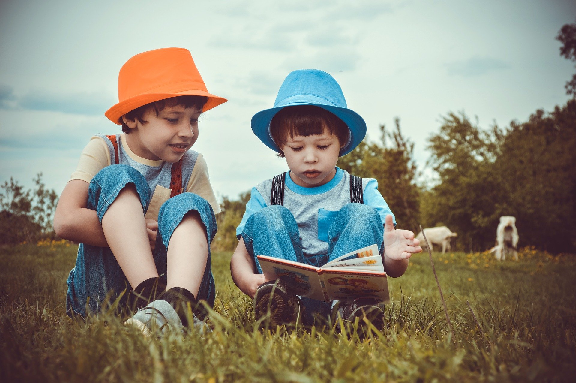 Lettura e Linguaggio: come influiscono sulla Comprensione del Testo